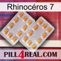 Rhinocéros 7 cialis4